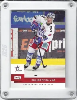 De Paly Phlipp DEL2 2014-15  č.80