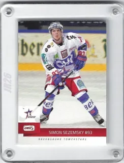 Sezemsky Simon DEL2 2014-15  č.84