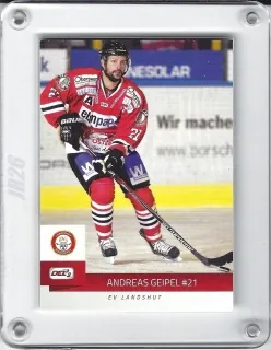Geipel Andreas DEL2 2014-15  č.97