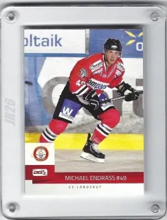 Endrass Michael DEL2 2014-15  č.104