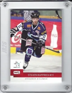 Rupprich Steven DEL2 2014-15  č.144