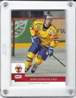 Domogala Adam DEL2 2014-15  č.156