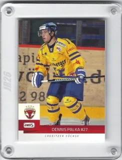 Palka Dennis DEL2 2014-15  č.168