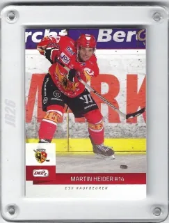 Heider Martin DEL2 2014-15  č.198
