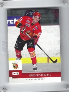 Stein Gregor DEL2 2014-15  č.206