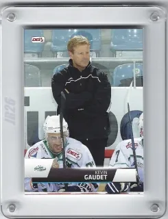 Gaudet Kevin DEL2 2015-16  č.30