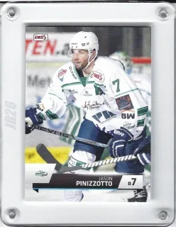 Pinizzotto Jason DEL2 2015-16  č.40