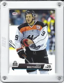 Breitkreuz Brett DEL2 2015-16  č.113