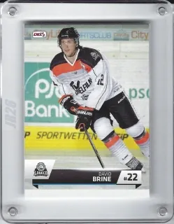 Brine David DEL2 2015-16  č.114