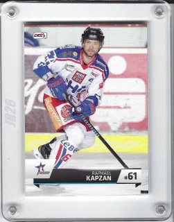 Kapzan Raphael DEL2 2015-16  č.230