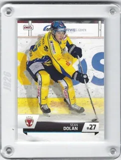 Dolan Sean DEL2 2015-16  č.296