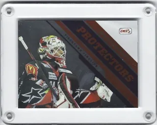 Langmann Jonas DEL2 2015-16 Protectors č.PR03