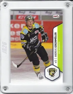Geigenmüller Andreas DEL2 2016-17 č.97