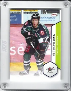 Baindl Michael DEL2 2016-17 č.294
