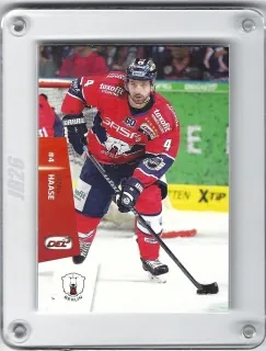Haase Henry DEL Premium 2014-15  č.23