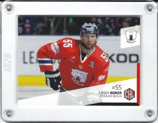 Borer Casey DEL Premium 2014-15  č.304