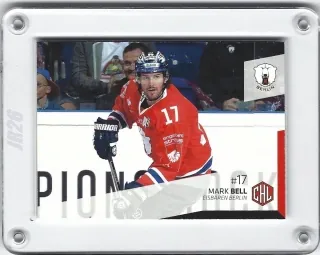 Bell Mark DEL Premium 2014-15  č.310