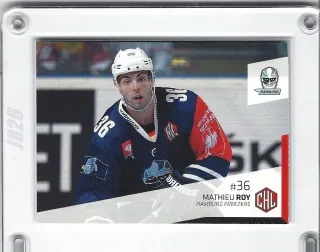 Roy Mathieu DEL Premium 2014-15  č.328