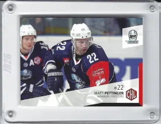 Pettinger Matt DEL Premium 2014-15  č.340
