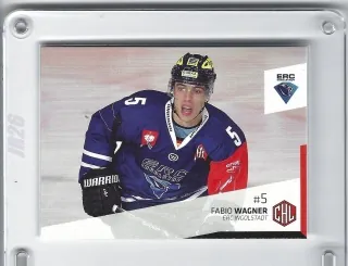 Wagner Fabio DEL Premium 2014-15  č.353