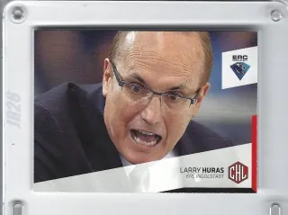 Huras Larry DEL Premium 2014-15  č.367