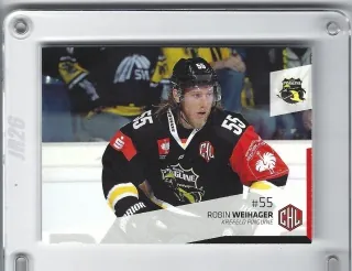 Weihager Robin DEL Premium 2014-15  č.399