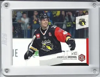 Driendl Andreas DEL Premium 2014-15  č.401