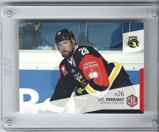 Perrault Joel DEL Premium 2014-15  č.407