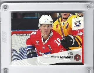 Buchwieser Martin DEL Premium 2014-15  č.424