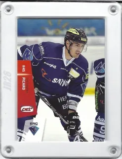 Picard Alexandre DEL Premium 2014-15  č.491