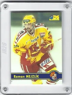 Mejzlík Roman DS 1998-99  č.41