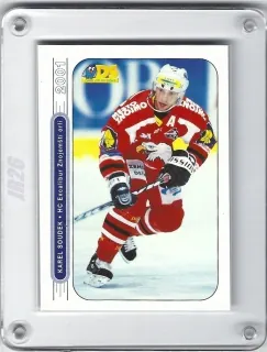 Soudek Karel DS 2000-01  č.102