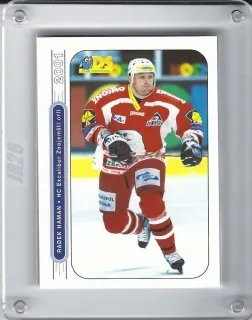 Haman Radek DS 2000-01  č.107