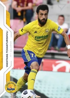 Tchanturishvili V. SportZoo Fortuna 2020 Řadovka č.66