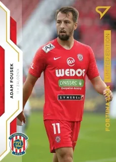 Fousek Adam SportZoo Fortuna 2020 Gold /99 č.100