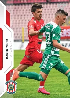Vintr Marek SportZoo Fortuna 2020 Řadovka č.106