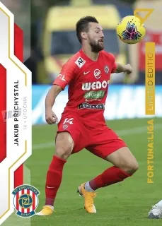 Přichystal Jakub SportZoo Fortuna 2020 Gold /99 č.107