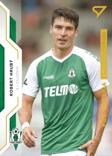 Hrubý Robert SportZoo Fortuna 2020 Gold /99 č.113