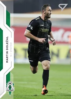 Doležal Martin SportZoo Fortuna 2020 Řadovka č.119