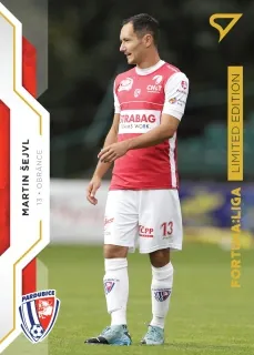 Šejvl Martin SportZoo Fortuna 2020 Gold /99 č.136