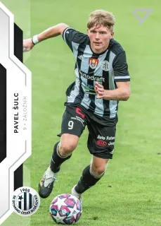 Šulc Pavel SportZoo Fortuna 2020 Řadovka č.178