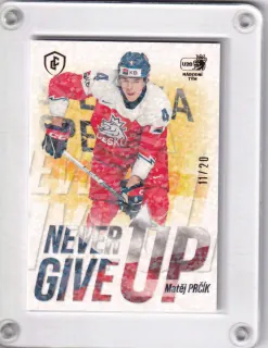 Prčík Matěj LC Expectations 2024 Never Give Up Jungle /20 č.NGU-02