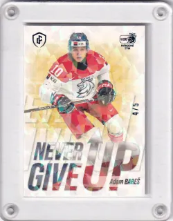 Bareš Adam LC Expectations 2024 Never Give Up Ice Floes /5 č.NGU-07