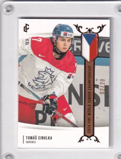 Cibulka Tomáš LC Expectations 2024 IIH World JR Champ. 2024 Gold /20 č.U20-05