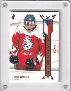 Sapoušek Robin LC Expectations 2024 IIH World JR Champ. 2024 Gold /20 č.U20-16