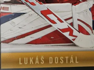 Dostál Lukáš LC Golden Prague Belongs to Us 2024 Puzzle č.LD-08