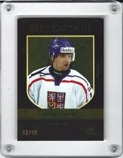 Výborný David Moje Kartičky 2019-20 Best Captains xx/40 č.9