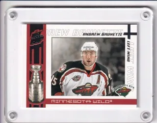 Brunette Andrew Quest For The Cup 2003-04  č.52