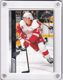 Larkin Dylan Upper Deck  2020-21  č.67