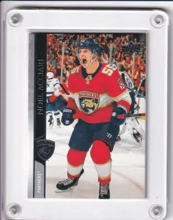Acciari Noel Upper Deck  2020-21  č.77